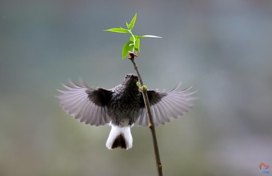 搜狗截圖22年07月24日0922_1.jpg undefined