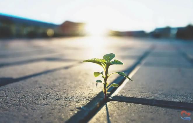 搜狗截圖22年07月24日0941_10.jpg undefined