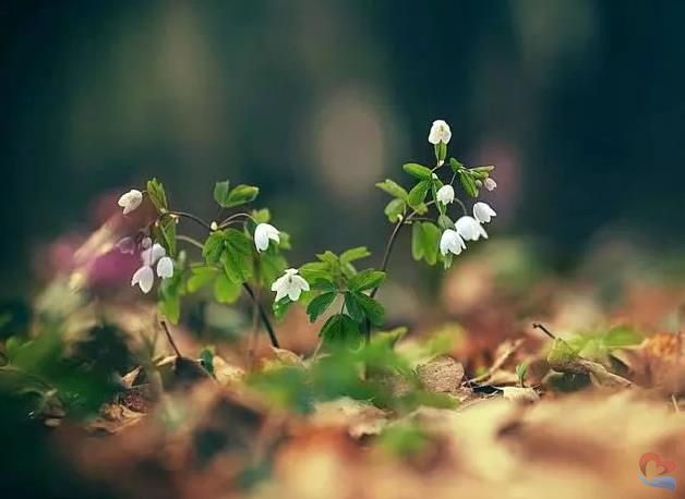 搜狗截圖22年07月24日0942_11.jpg undefined