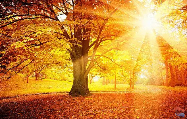 adaf90cf4a99e4cb1d4bb5a85d36439f4185b87d4cd36-pIHP2o_fw658.webp.jpg adaf90cf4a99e4cb1d4bb5a85d36439f4185b87d4cd36-pIHP2o_fw658.webp.jpg