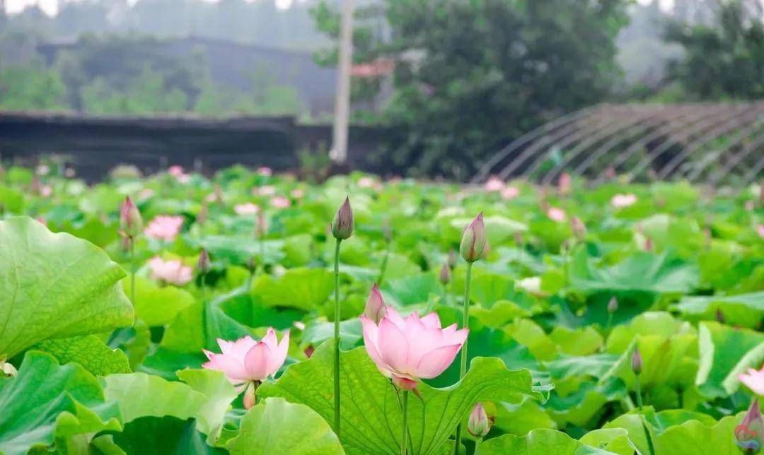 05fec2ab3e35483dabb8e4fe1c7196bb.jpeg 05fec2ab3e35483dabb8e4fe1c7196bb.jpeg