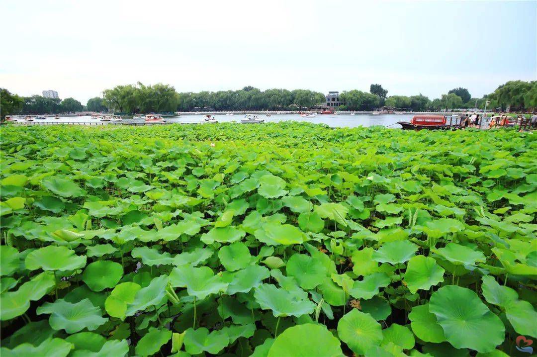 16fb4a2930c54470a07f995954cbf367.jpeg 16fb4a2930c54470a07f995954cbf367.jpeg