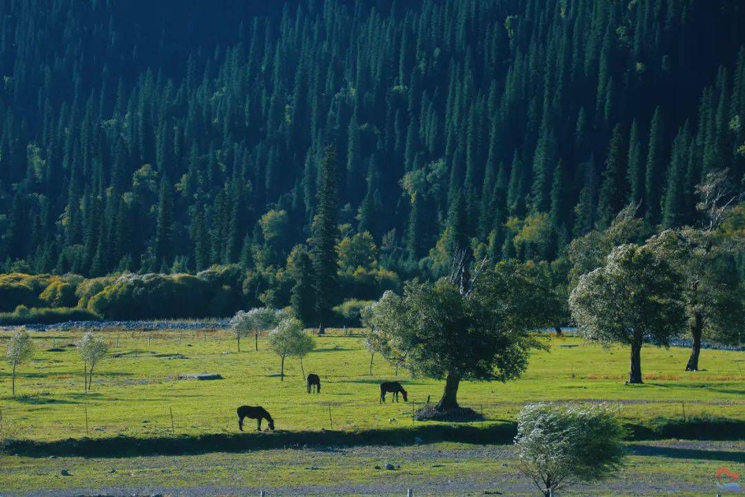 aebf904ac83b4b60ad35db18b802f1c7.jpeg aebf904ac83b4b60ad35db18b802f1c7.jpeg