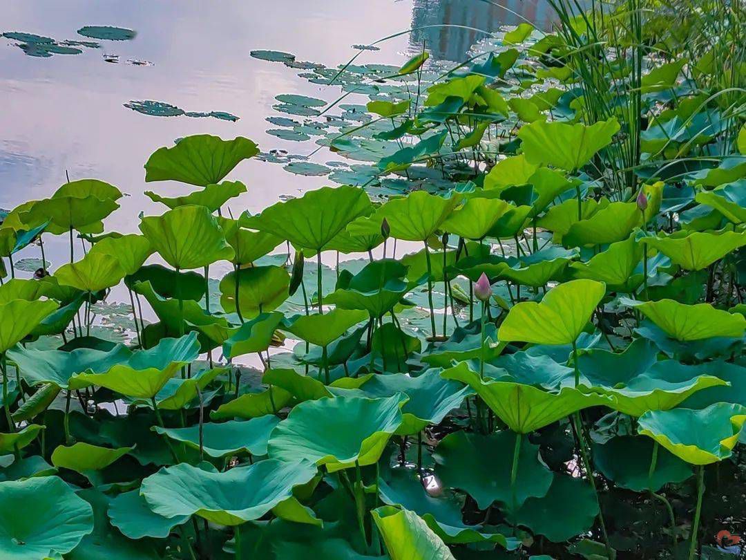 ad6a7fb5b5d543a9a2314a7fa079d2cc.jpeg ad6a7fb5b5d543a9a2314a7fa079d2cc.jpeg