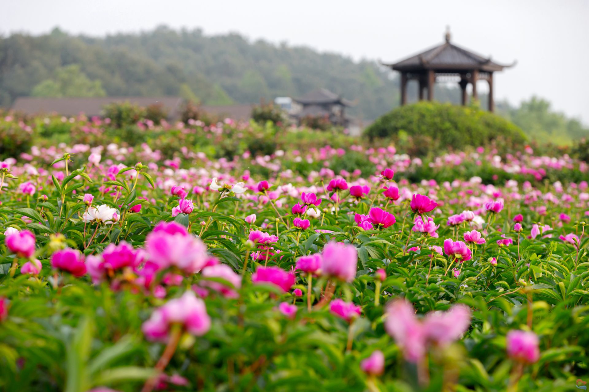 7a1e1e0ea34e464798a07ad73ee9be1b.jpeg 7a1e1e0ea34e464798a07ad73ee9be1b.jpeg