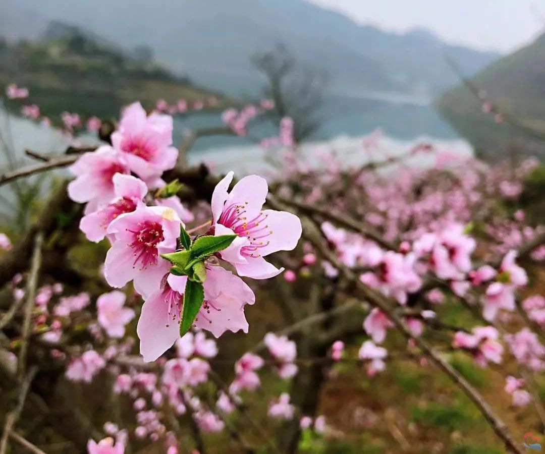 218db37823e74e558ab22276effcc438.jpeg 218db37823e74e558ab22276effcc438.jpeg