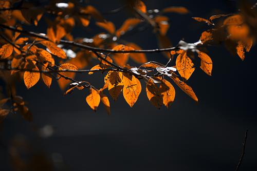 1582810891109442.jpg 1582810891109442.jpg