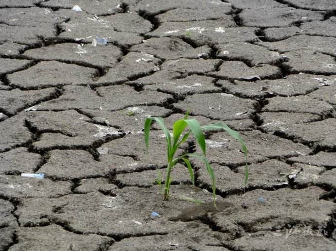 1582811135136001.jpg 1582811135136001.jpg