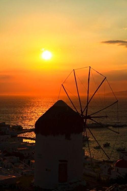 1583243093104984.jpg 32.jpg