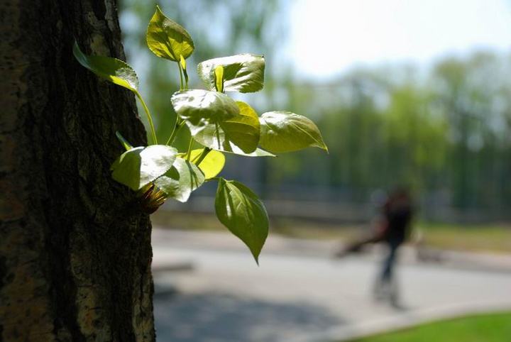 1584534521523954.jpg 2.jpg