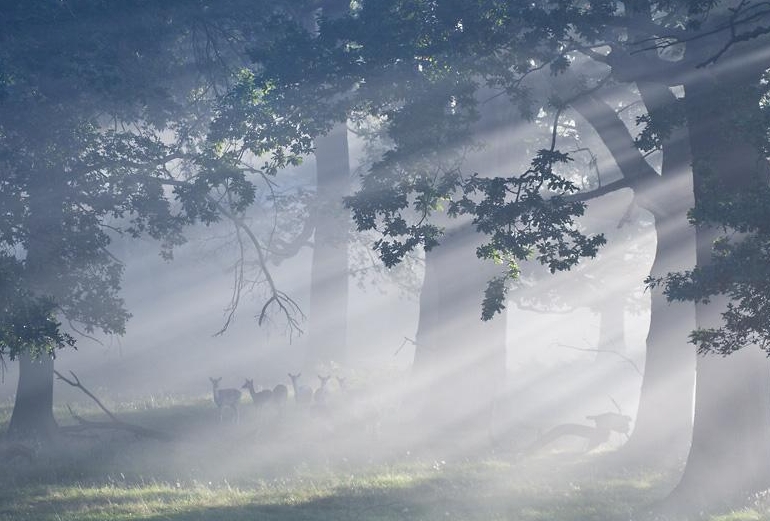 1586955002763943.jpg 1586955002763943.jpg