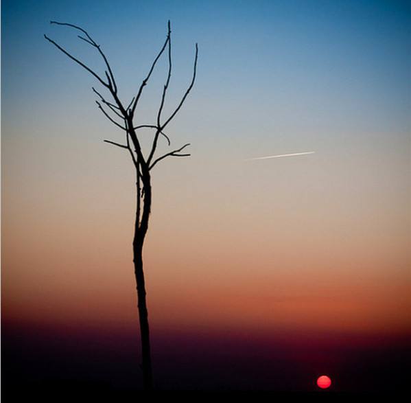 1586955011319037.jpg 3.jpg