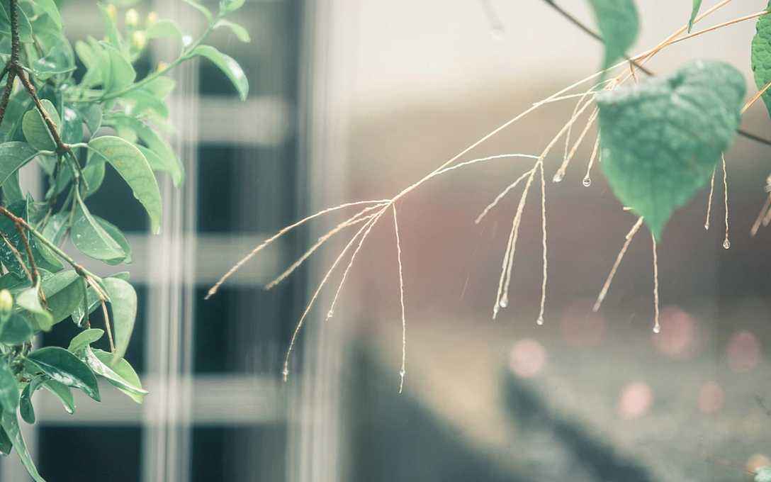 1588174394115789.jpg 1588174394115789.jpg