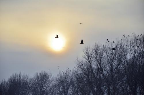 1588490357123643.jpg 3.jpg