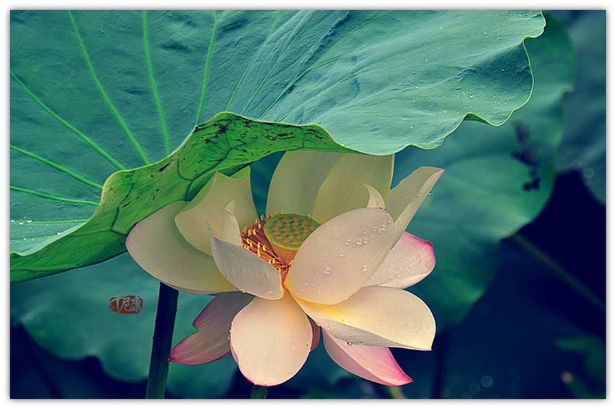 1588493056690961.jpg 1588493056690961.jpg