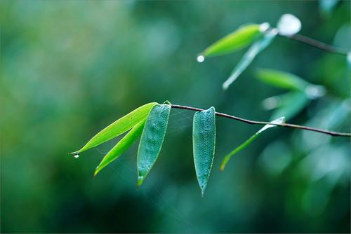 1589009788143726.jpg 2.jpg