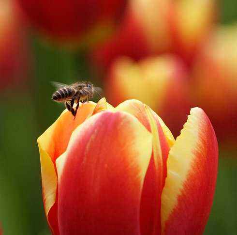 1592643531199839.jpg 1.jpg