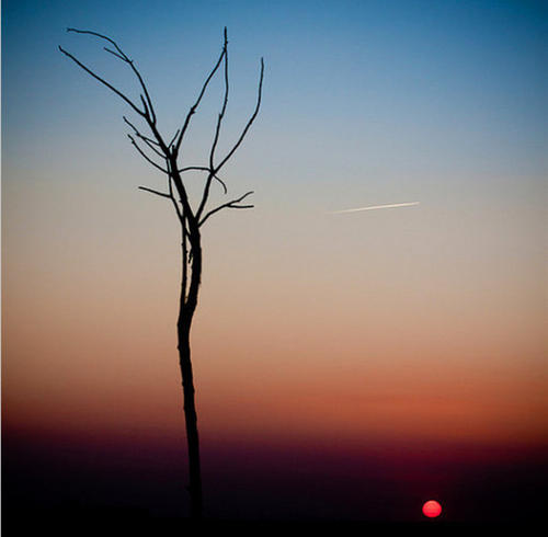 1592643570121857.jpg 2.jpg