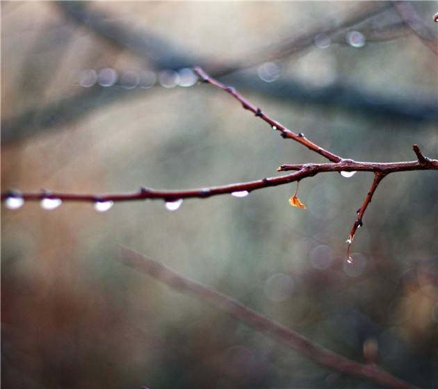 1592643872333797.jpg 1592643872333797.jpg