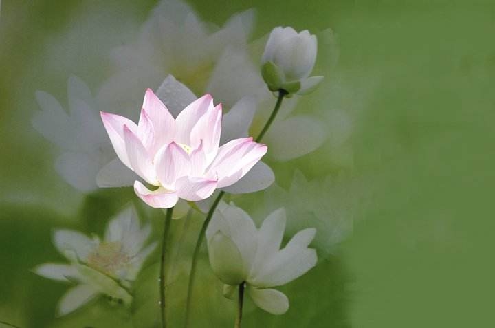 1592643967282675.jpg 1592643967282675.jpg