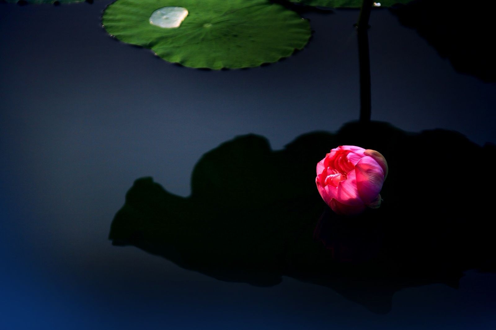 1592644879135274.jpg 1592644879135274.jpg