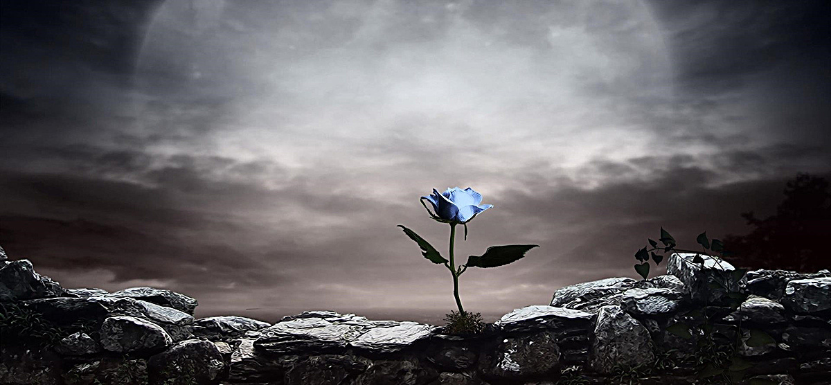 1592644986394902.jpg 1592644986394902.jpg