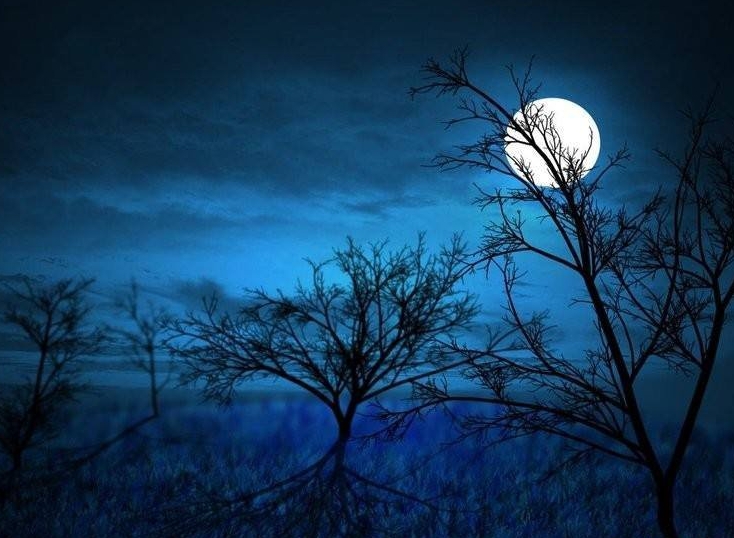 1593426028215976.jpg 1593426028215976.jpg