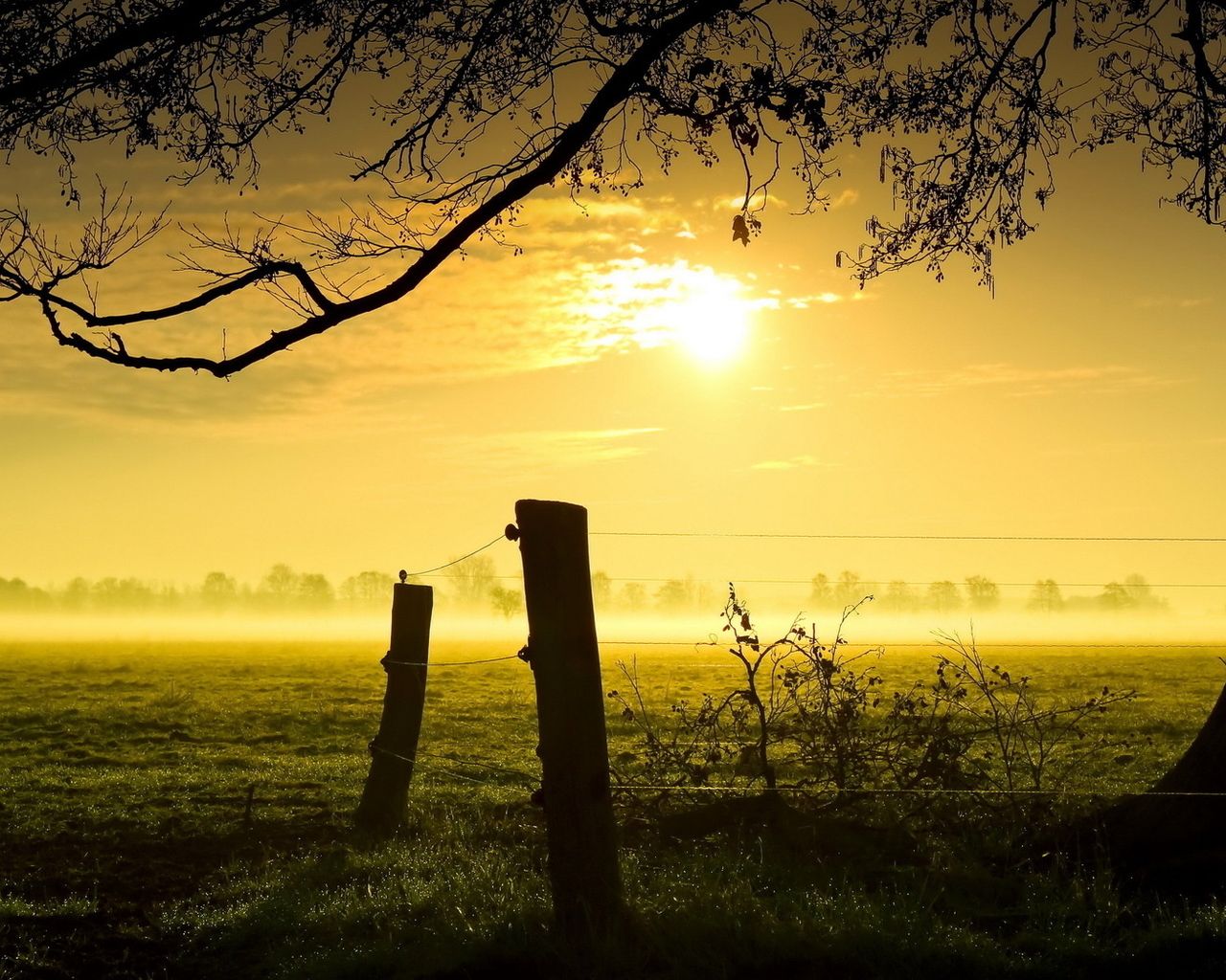 1593934396117063.jpg 1593934396117063.jpg