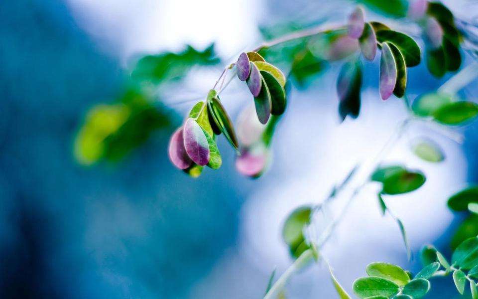 1593934414137994.jpg 1593934414137994.jpg