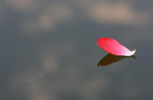 1594626622140296.jpg 3.jpg