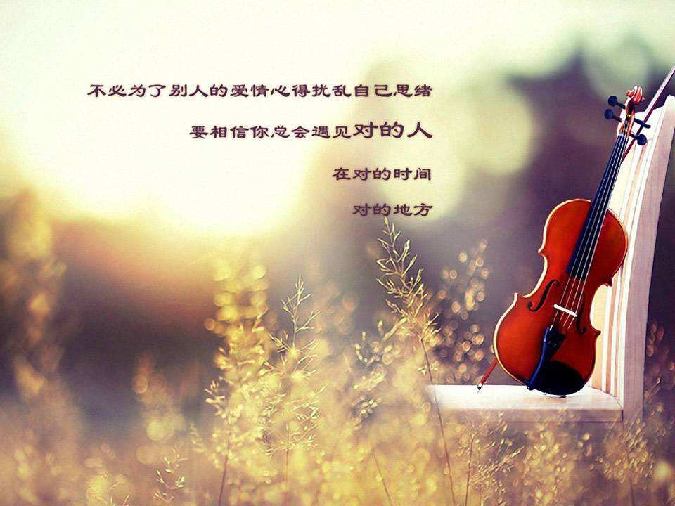 1596187222121521.jpg 2.jpg