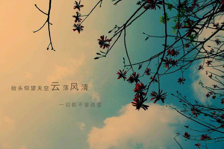 1596762474105561.jpg 3.jpg