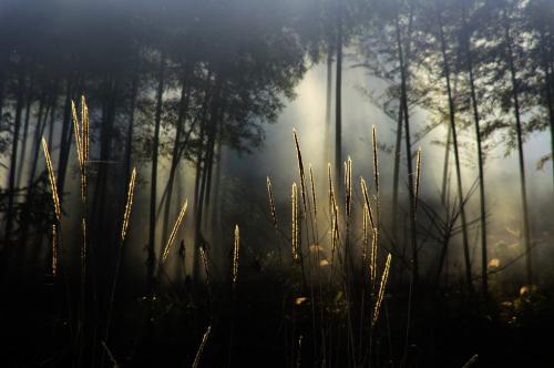 1597745110129194.jpg 4.jpg