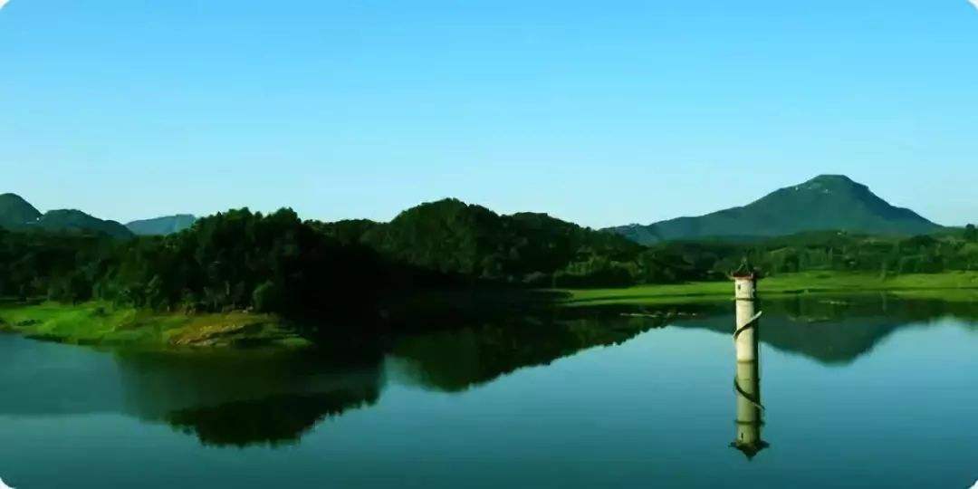 1597799641473736.jpg timg.jpg