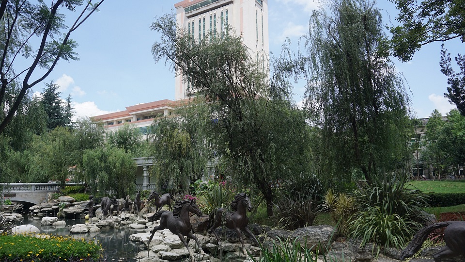 1599108125422270.jpg 001.jpg