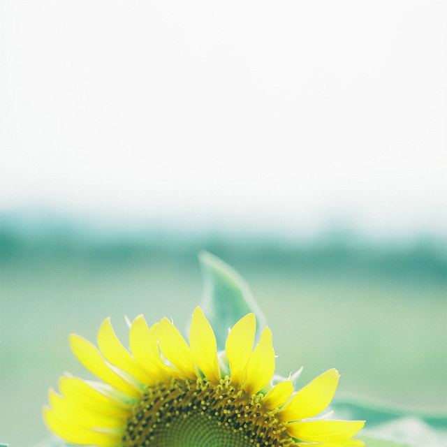 1599871066128398.jpg 2.jpg