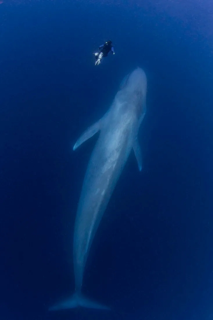 1600640901751291.jpg 640.webp.jpg