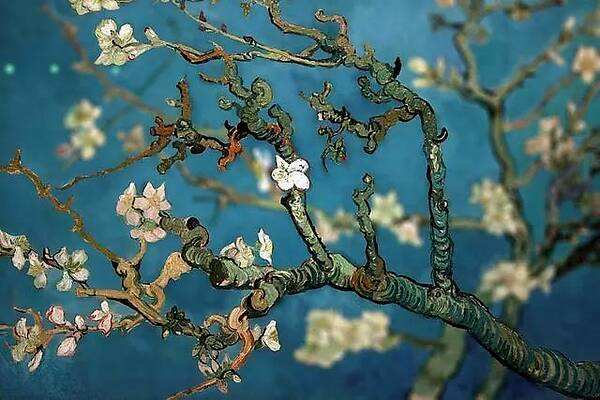 1600814190465905.jpg timg (1).jpg