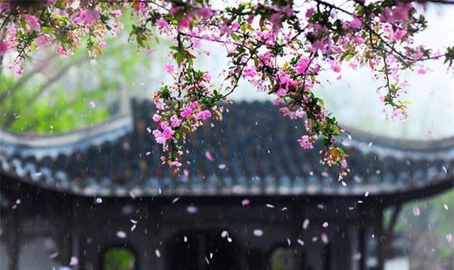 1618996716775174.jpg src=http___pics.yingworks.com_rXp_FhFGNh6ppBJbxHYFLqbkHK9B7_gp_21.png!n1500&refer=http___pics.yingworks.jpg