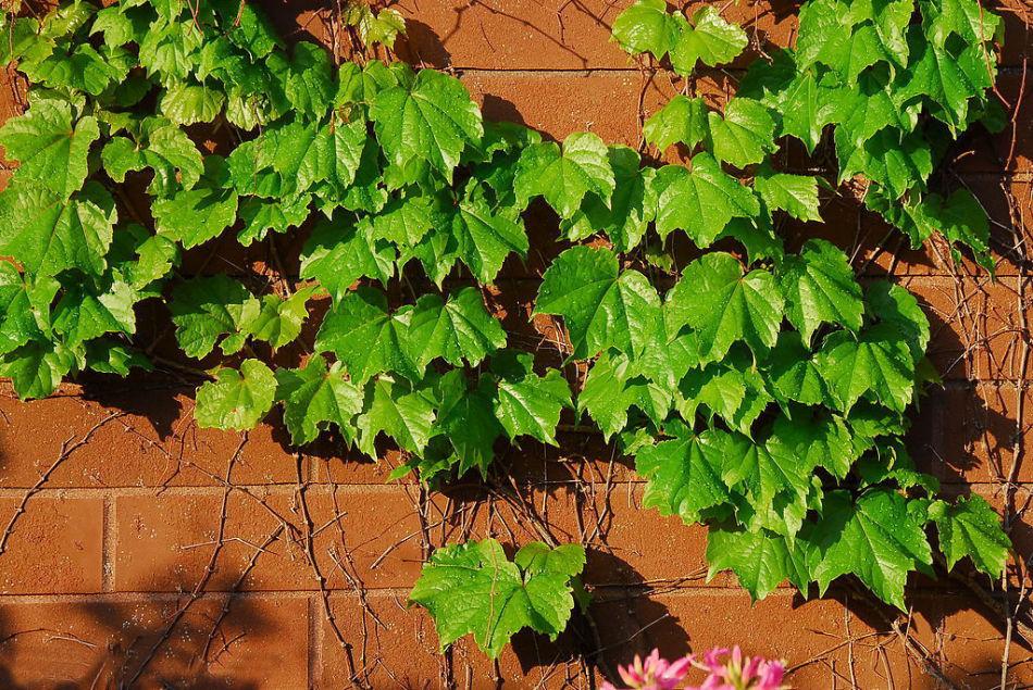 1620701203134259.jpg 1.jpg