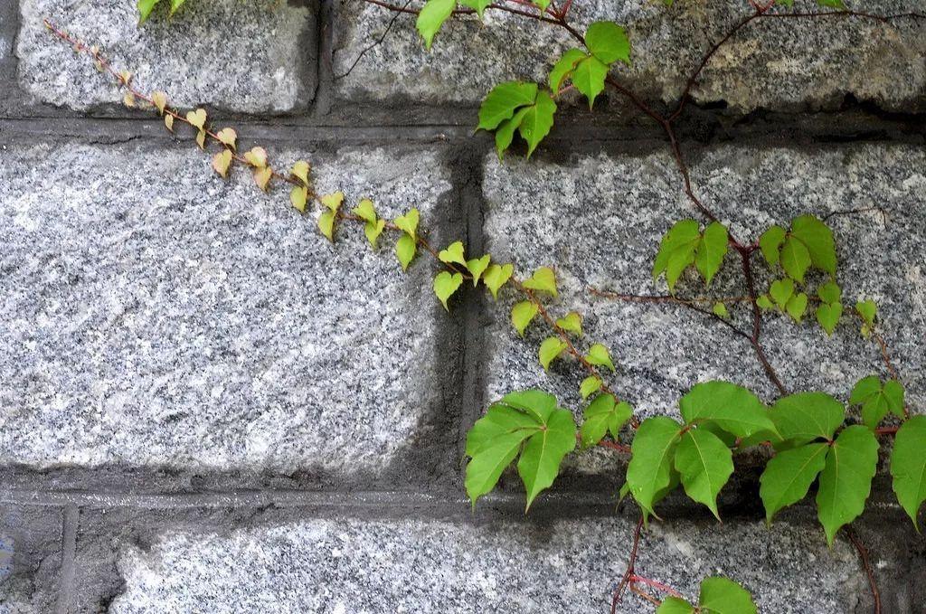 1620701213104726.jpg 2.jpg